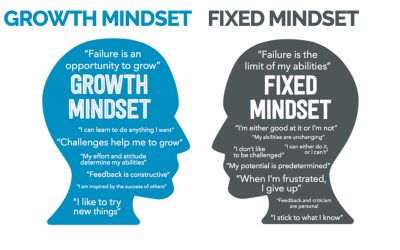 THE GROWTH MINDSET VS THE FIXED MINDSET
